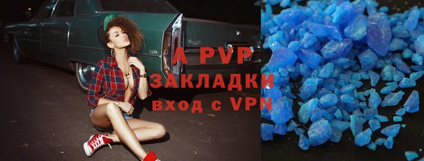 мдпв Богданович