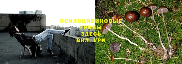 jwh Богородск