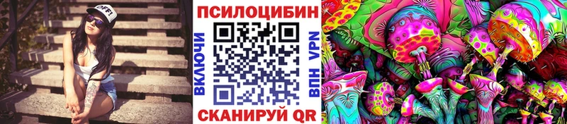 Купить закладки  Отрадный  Галлюциногенные грибы Psilocybe 